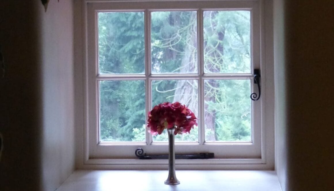 Improve Your Indoor Air Quality