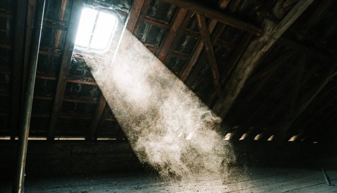 What can cause excessive dust in a house and how to reduce it