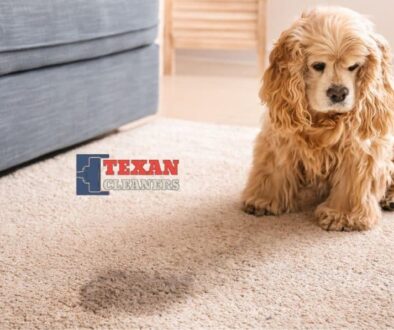 How to Effectively Remove Old Urine Stains from Carpets