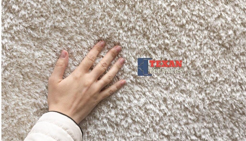 What Lives in Old Carpet A Look at the Hidden Uninvited Houseguests