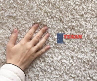 What Lives in Old Carpet A Look at the Hidden Uninvited Houseguests