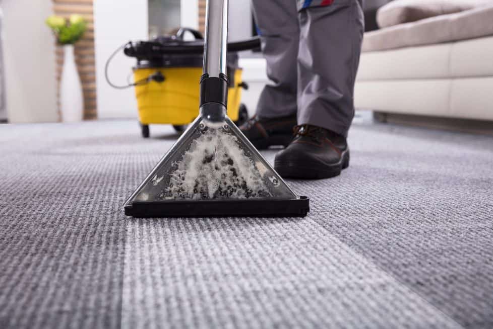 an image doing deep cleaning of carpet