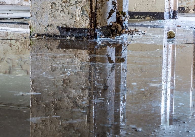 best-water-damage-restoration-icon