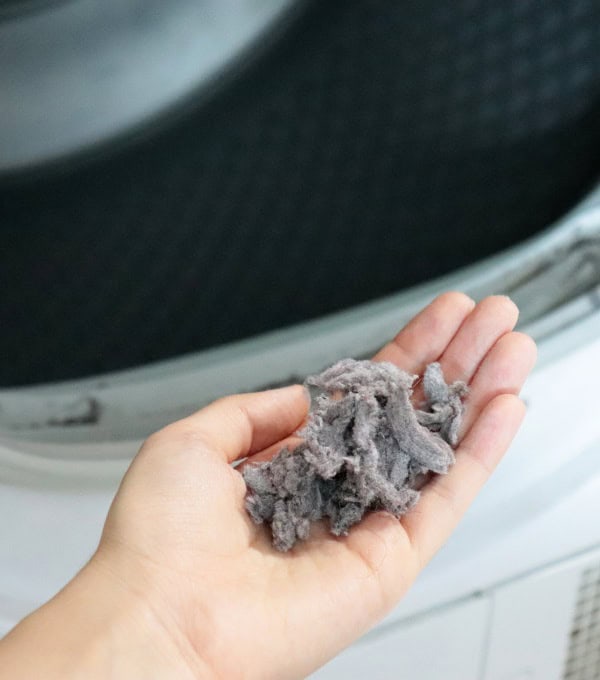 lint-removal-service