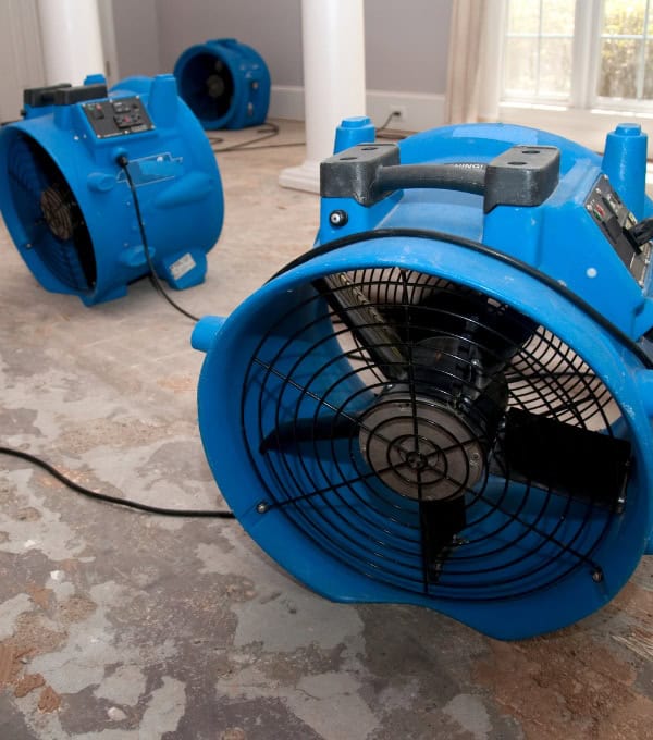 water damage removal